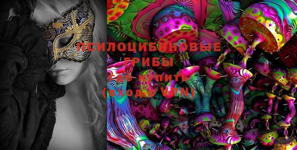 a pvp Белоозёрский
