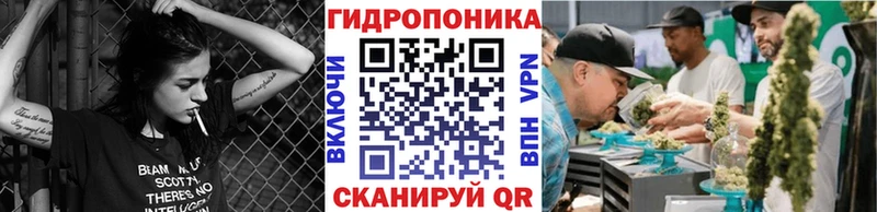 Конопля конопля Надым